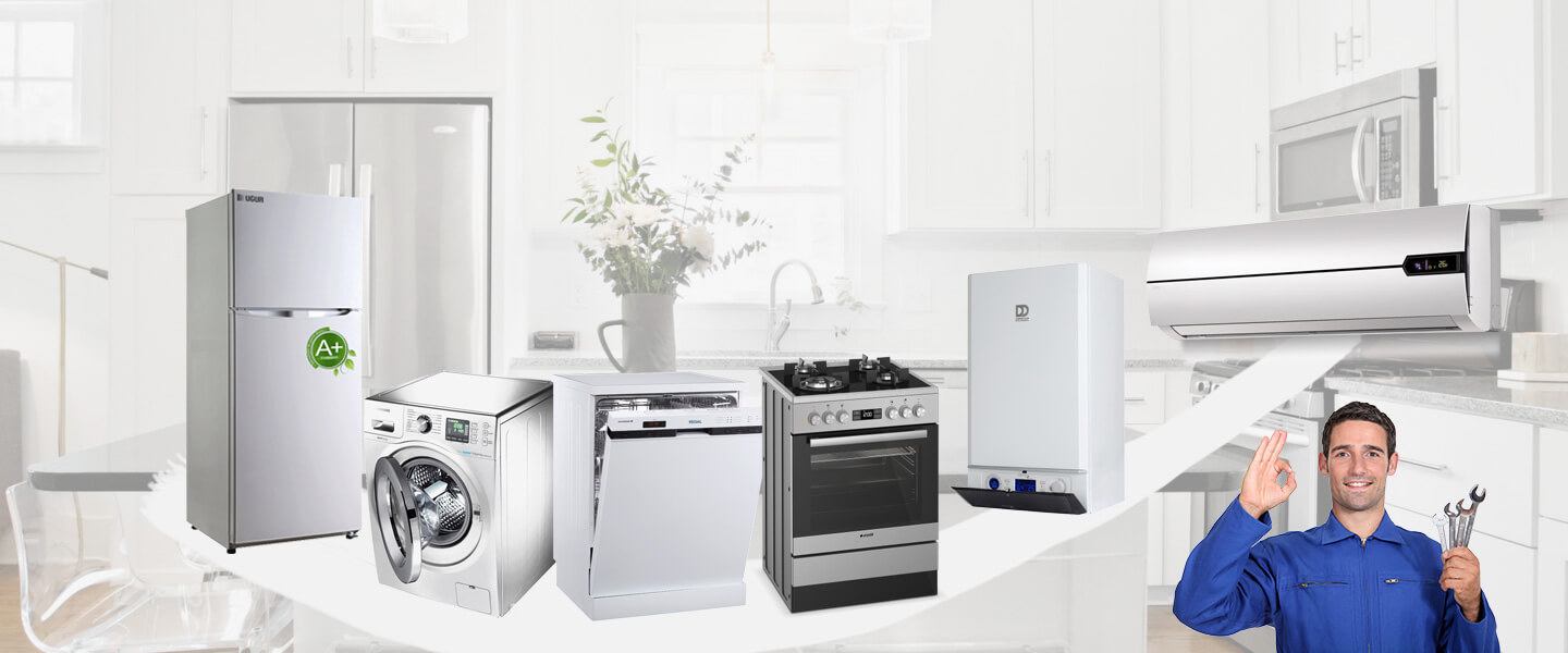 Hani Electrolux Servisi